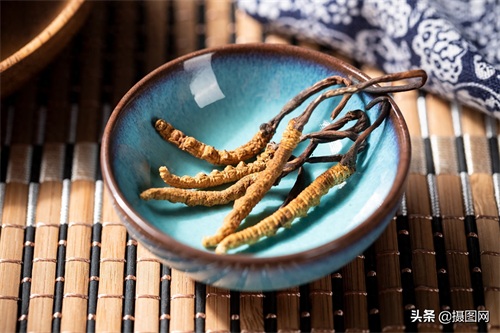 中药材图集｜常见的中药材到底长啥样？最后一种多数人没听过