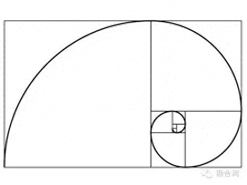 喵星人告诉你什么是斐波那契螺旋线，黄金螺旋构图揭秘