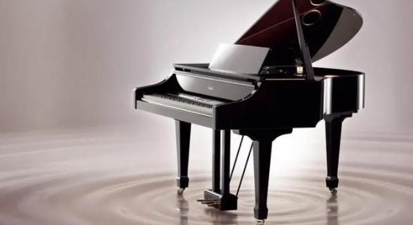 生活十大培养气质乐器排名（提升气质的乐器有哪些）  1