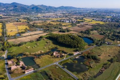 ​（文化）探访世界遗产——良渚古城遗址