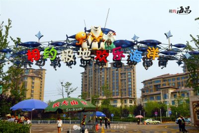 ​青岛海昌极地海洋世界，梦幻一日