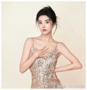 ​范梦背后的故事