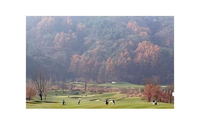 爱上哥们怎么办，爱上哥们所有歌曲