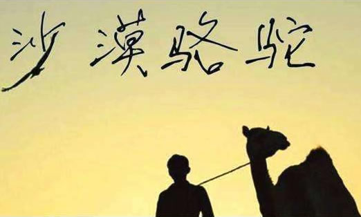 最近网络上很火的歌曲 深受人们的喜爱的歌