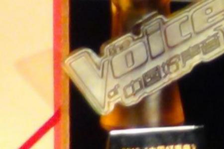 好声音林恺伦的全部歌曲