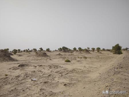 死亡沙漠在哪个地方(死亡沙漠的入口在哪儿)-图4 死亡沙漠在哪个地方(死亡沙漠的入口在哪儿)-图4