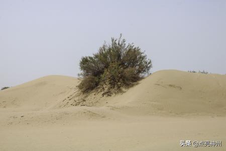 死亡沙漠在哪个地方(死亡沙漠的入口在哪儿)-图3 死亡沙漠在哪个地方(死亡沙漠的入口在哪儿)-图3