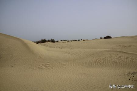 死亡沙漠在哪个地方(死亡沙漠的入口在哪儿)-图5 死亡沙漠在哪个地方(死亡沙漠的入口在哪儿)-图5