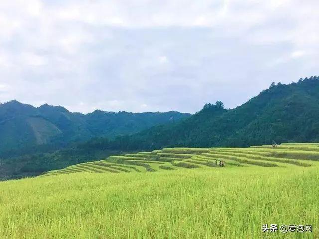 广东自驾路线最美风景(广东最美乡村公路)(12)