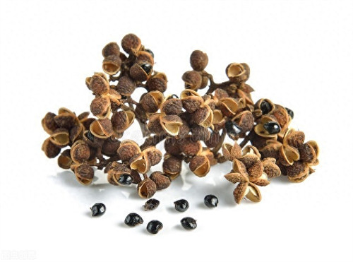 花椒籽能干什么用(花椒籽的10大妙用是什么)