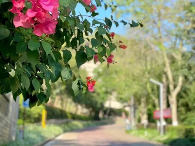 方特旅游攻略详细(方特旅游快线来了)(12)