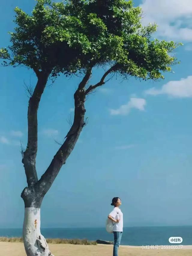 方特旅游攻略详细(方特旅游快线来了)(22)