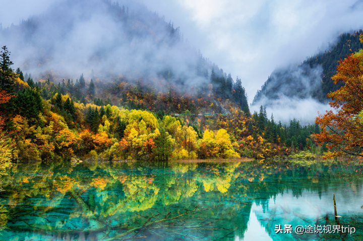 全球最美的人间仙境（带你了解世间最美的九寨沟）