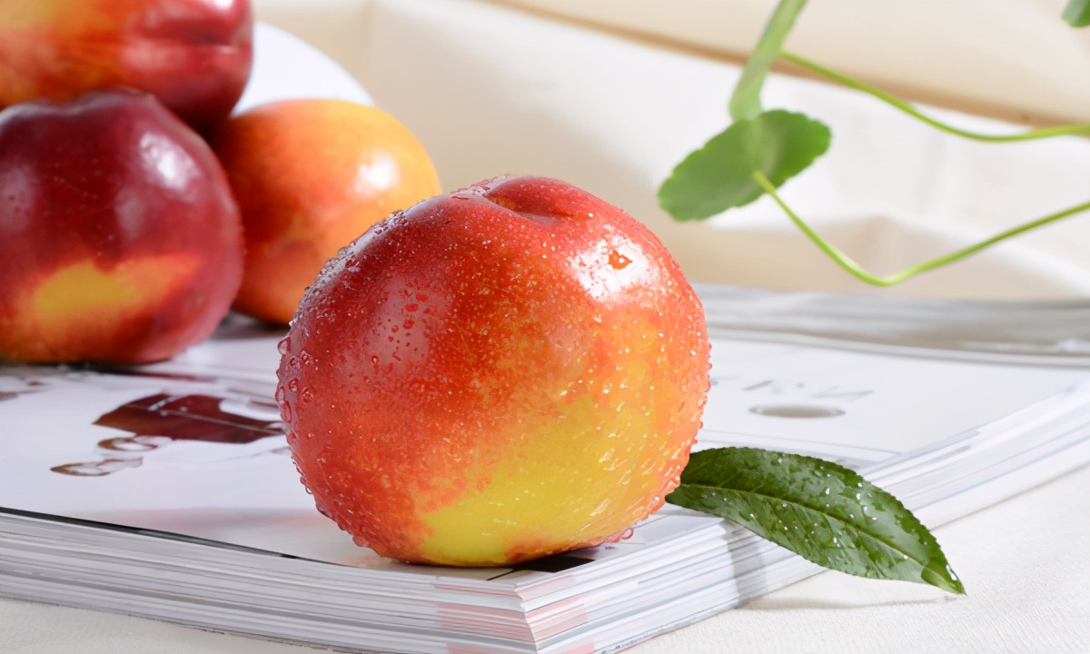 新疆的特产有哪些(新疆的10大主要特产推荐)