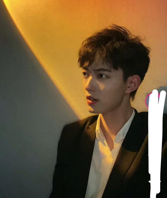 那些跟明星撞脸的网红（5大山寨明星网红）(17)