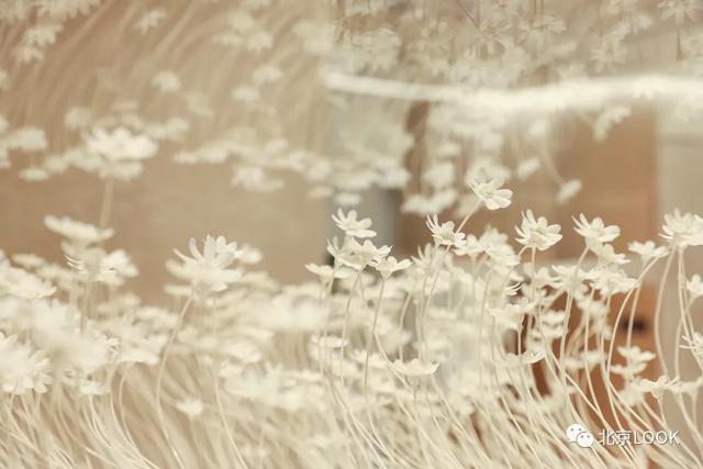 上海最大的zara旗舰店地址（亚洲最大ZARA）(12)