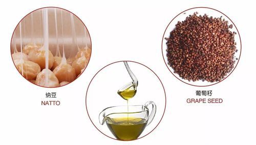 什么是植物甾醇玉米油