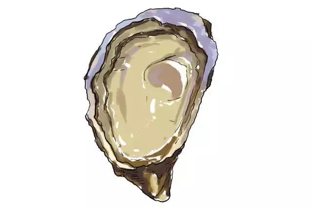 生蚝20种美味做法（史上最全的生蚝大解析）(6)