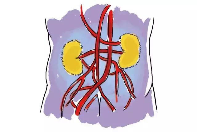 生蚝20种美味做法（史上最全的生蚝大解析）(4)
