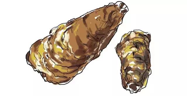 生蚝20种美味做法（史上最全的生蚝大解析）(7)