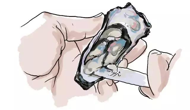 生蚝20种美味做法（史上最全的生蚝大解析）(25)