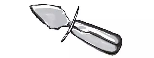 生蚝20种美味做法（史上最全的生蚝大解析）(16)