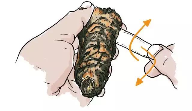 生蚝20种美味做法（史上最全的生蚝大解析）(22)