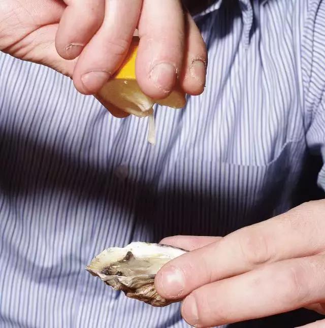 生蚝20种美味做法（史上最全的生蚝大解析）(28)