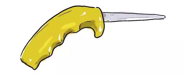 生蚝20种美味做法（史上最全的生蚝大解析）(14)