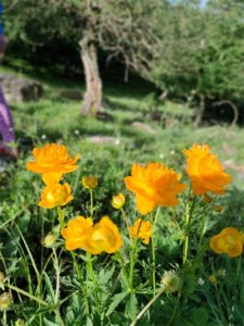 ​蔚县小五台山（下篇）～京畿五十条户外休闲打卡地之（六）