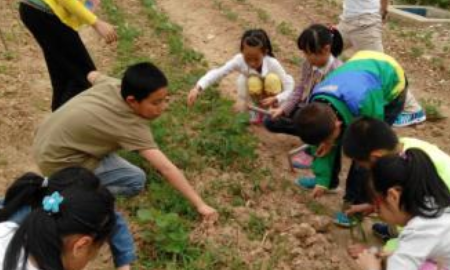 赞美劳动的简短句子,赞美美女的话语怎么说图1