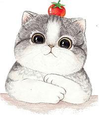 《Loving Strangers》人生若只如初见