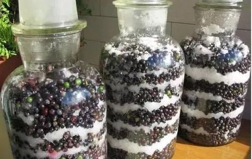 家庭自制干红葡萄酒方法