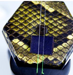 二胡琴弦安装方法图解,安装二胡弦图16