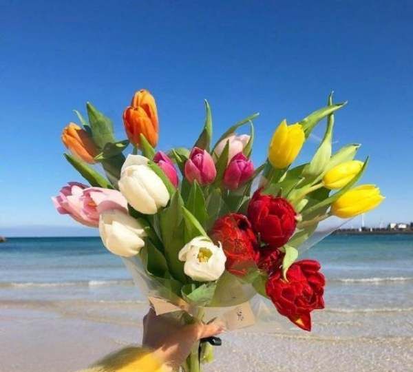 母亲节说说简洁,母爱的说说,简短图4