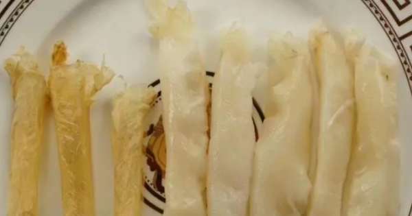 鱼胶和鱼泡的区别是,小赤鱼胶是哪一种鱼图1