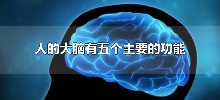 人的大脑有五个主要的功能