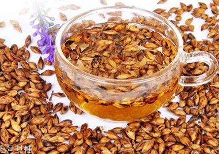 大麦茶怎么泡 温水冲泡即可