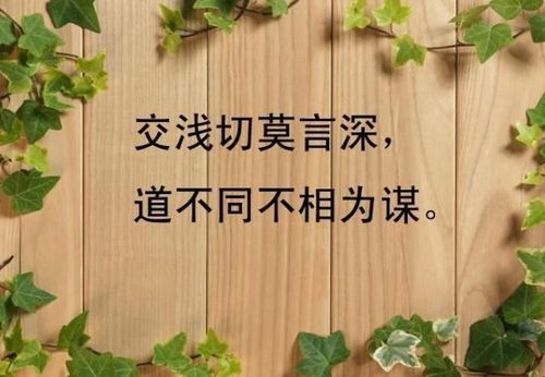 道不同不相为谋是什么意思(道不同不相为谋释义)