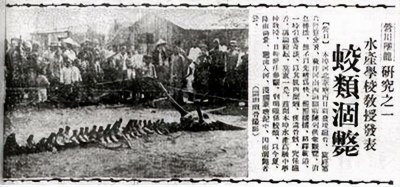 ​未解之谜：营口坠龙事件