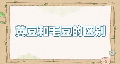 ​黄豆和毛豆有啥区别 黄豆的营养成分和功效