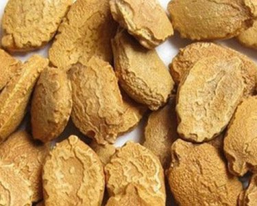 ​苦瓜种子怎样才能发芽快（苦瓜育苗浸泡种子时间和方法）