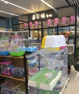 ​女生做什么工作月入过万(女生月薪过万的工作有哪些)