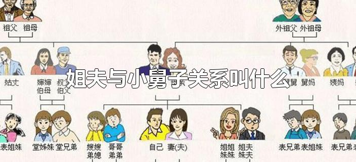 姐夫与小舅子关系叫什么 姐夫与小舅子关系叫什么