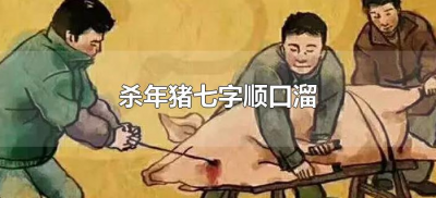 ​杀年猪七字顺口溜（过年顺口溜把猪杀）
