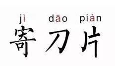 毛母细胞瘤是什么意思