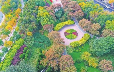 ​秋日美景多彩 青年公园如画