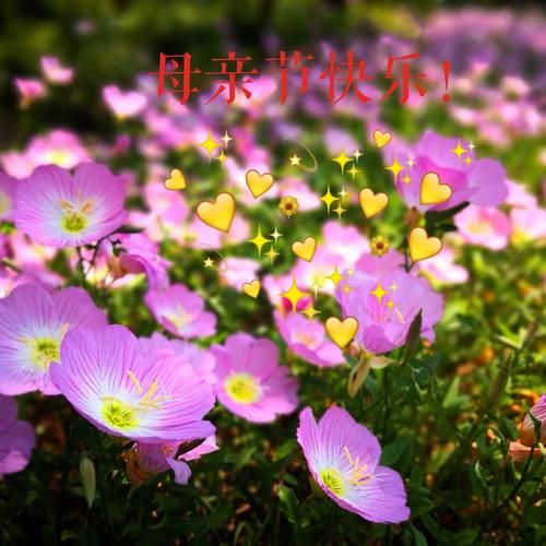 祝妈妈母亲节快乐的句子暖心(感恩妈妈暖心短句)-第1张图片-