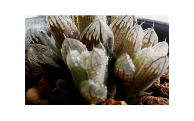 挽回妻子要怎么做 男性怎么提高自身吸引力