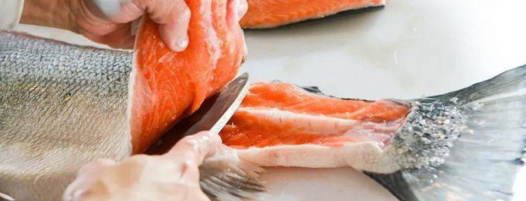 三文鱼能冷冻保存吗